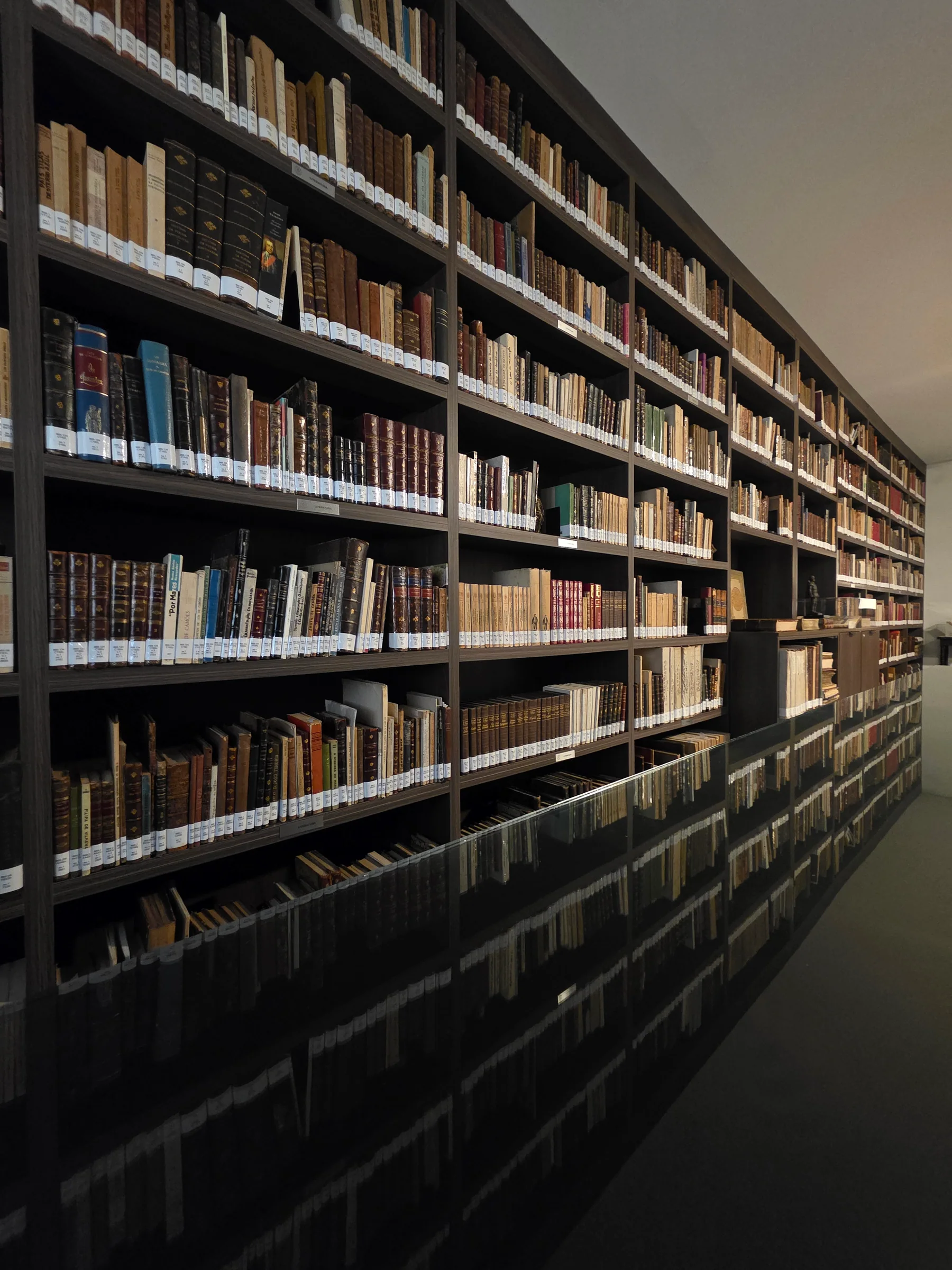Estantes do acervo da Biblioteca João Alves das Neves na sede atual
